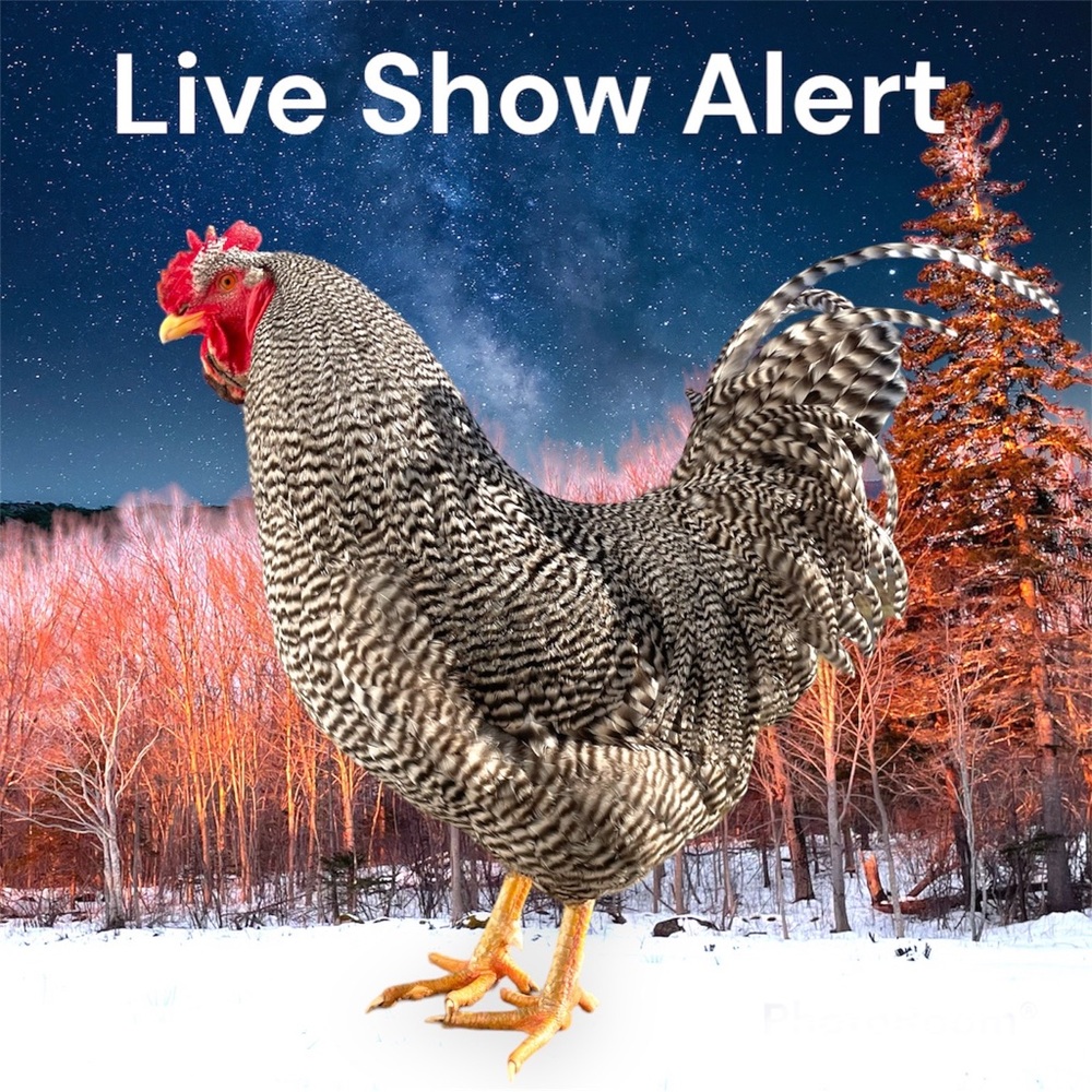 🐓@thrfts is going live🐓